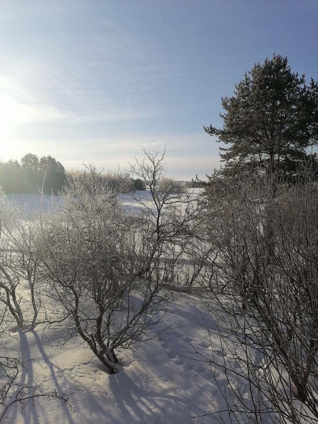 Life throws you spiral balls, will you hit or&nbsp;dodge?