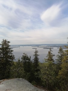 View from Ukko-Koli over the lake Pielinen
