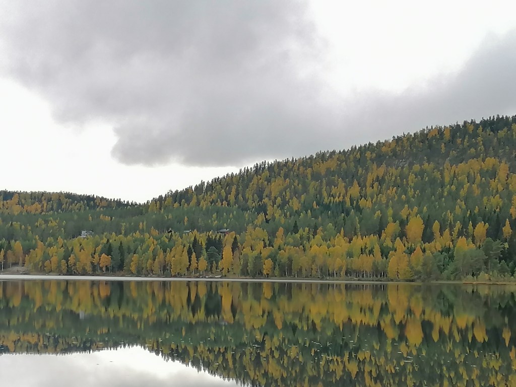 Reflection on the lake