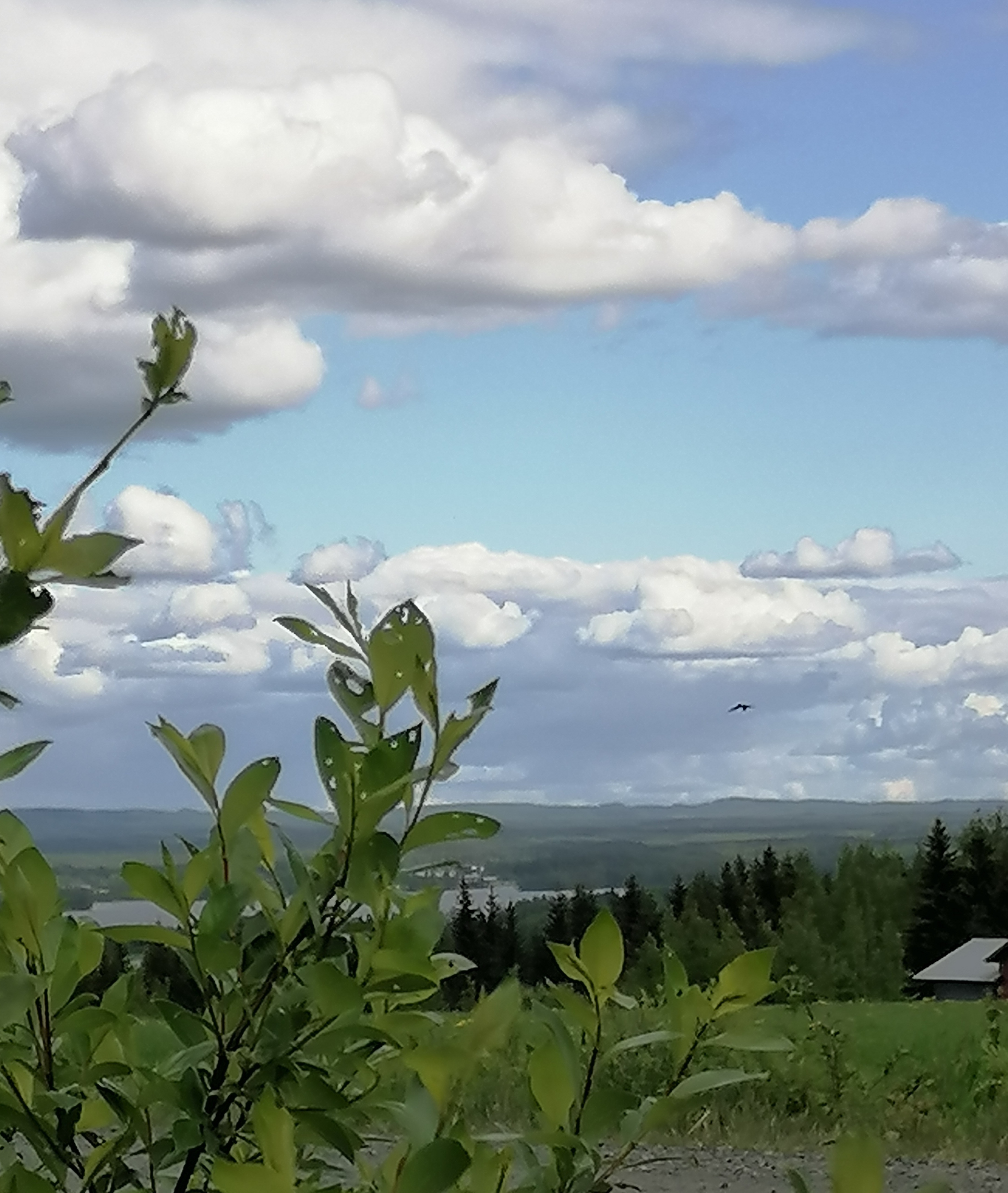 It important to focus on the goal. There are many things trying to take a piece of your time, for some people more than for the others. Let's value the time we have!